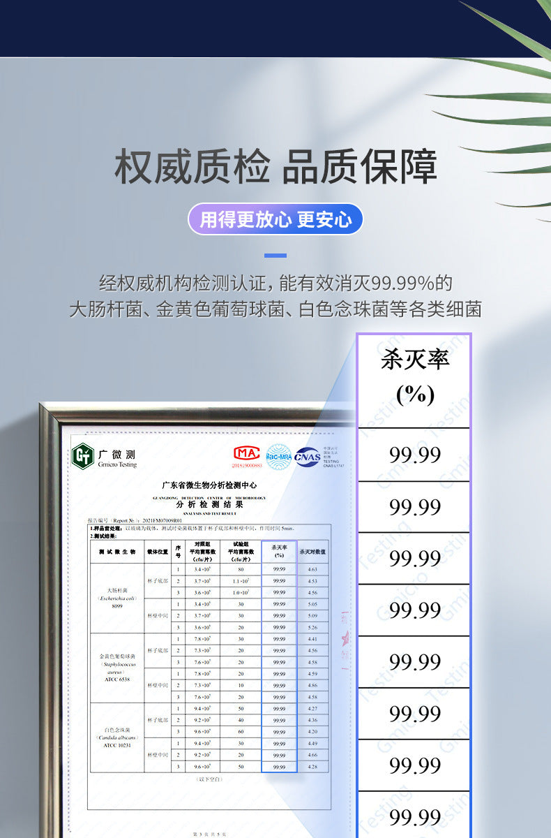 Nuevo Soporte de Cepillos de Dientes Eléctrico ECOCO con Esterilizador UV